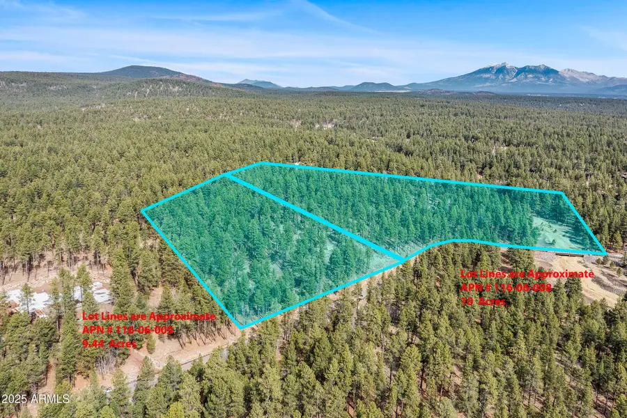 2937 Ben Brooks -- #2 & 3, Flagstaff, AZ 86005 - Image #3