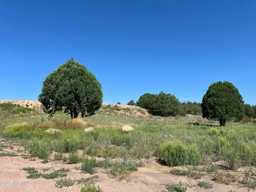 224 W Cooper Ridge #1, Young, AZ 85554 - Image #3