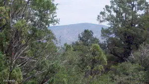 106 S Crescent Moon -- #296, Payson, AZ 85541 - Image #2