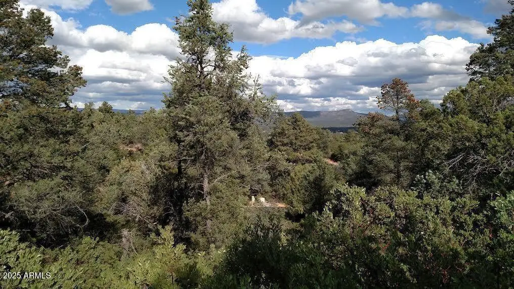 2311 E Feather Plume Lane #631, Payson, AZ 85541 - Image #1