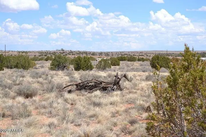 Lot 020G E 24th N Street -- #020G, Snowflake, AZ 85937 - Image #2