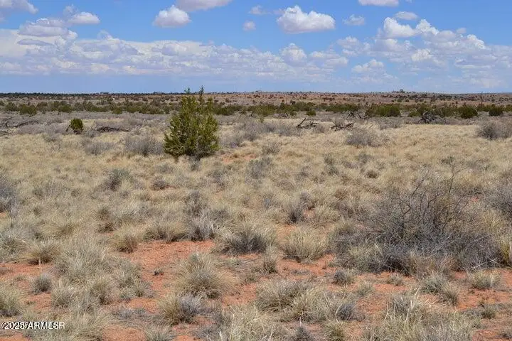 Lot 020G E 24th N Street -- #020G, Snowflake, AZ 85937 - Image #3