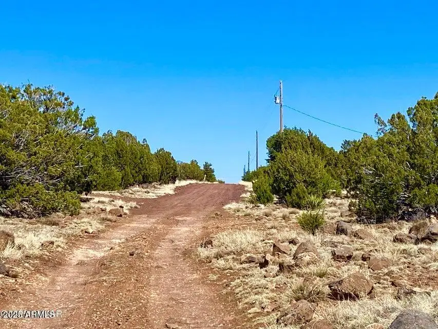 74 County Road 8056 -- #152, Concho, AZ 85924 - Image #2
