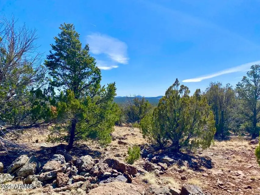 74 County Road 8056 -- #152, Concho, AZ 85924 - Image #3