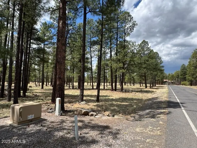 Lot 1 Hattie Greene -- #1, Fort Valley, AZ 86001 - Image #2