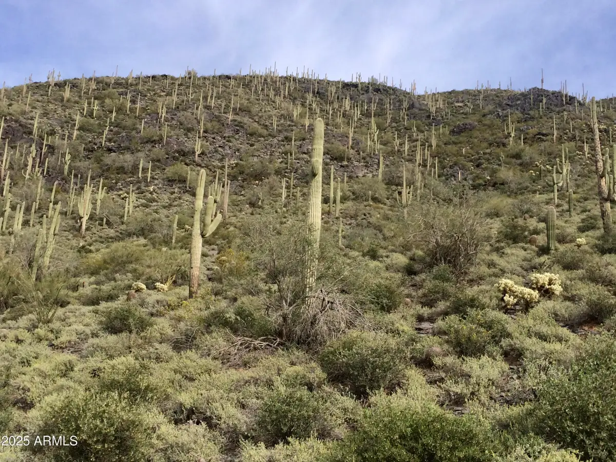 62XX E Carriage Drive, Cave Creek, AZ 85331 - Image #1