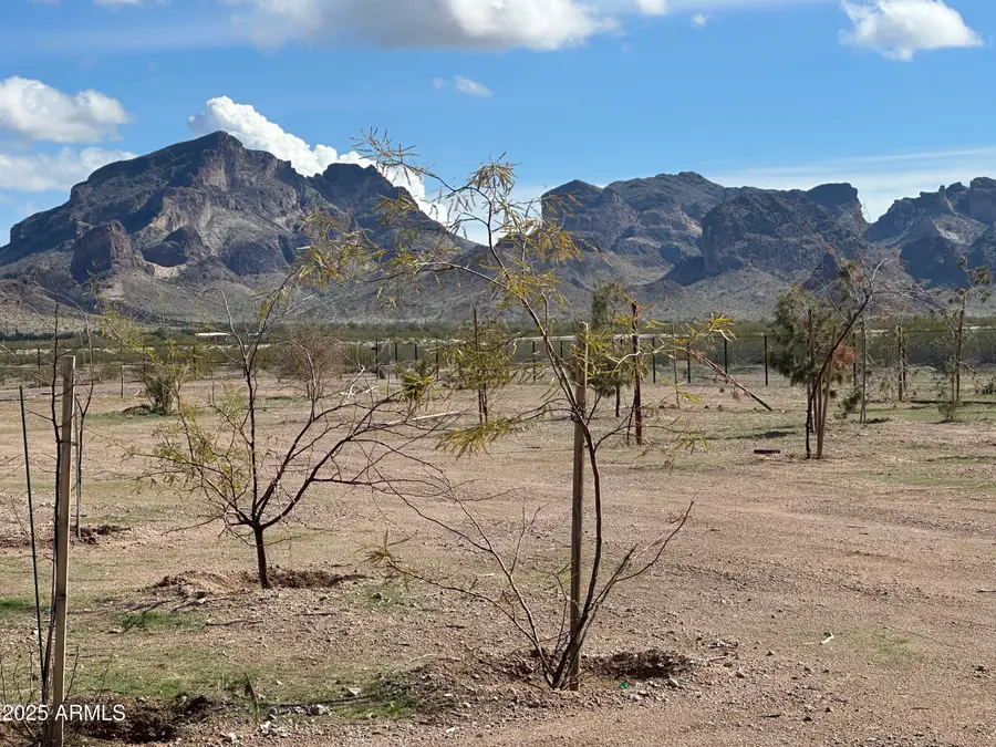 48420 W Polk Street, Tonopah, AZ 85354 - Image #2