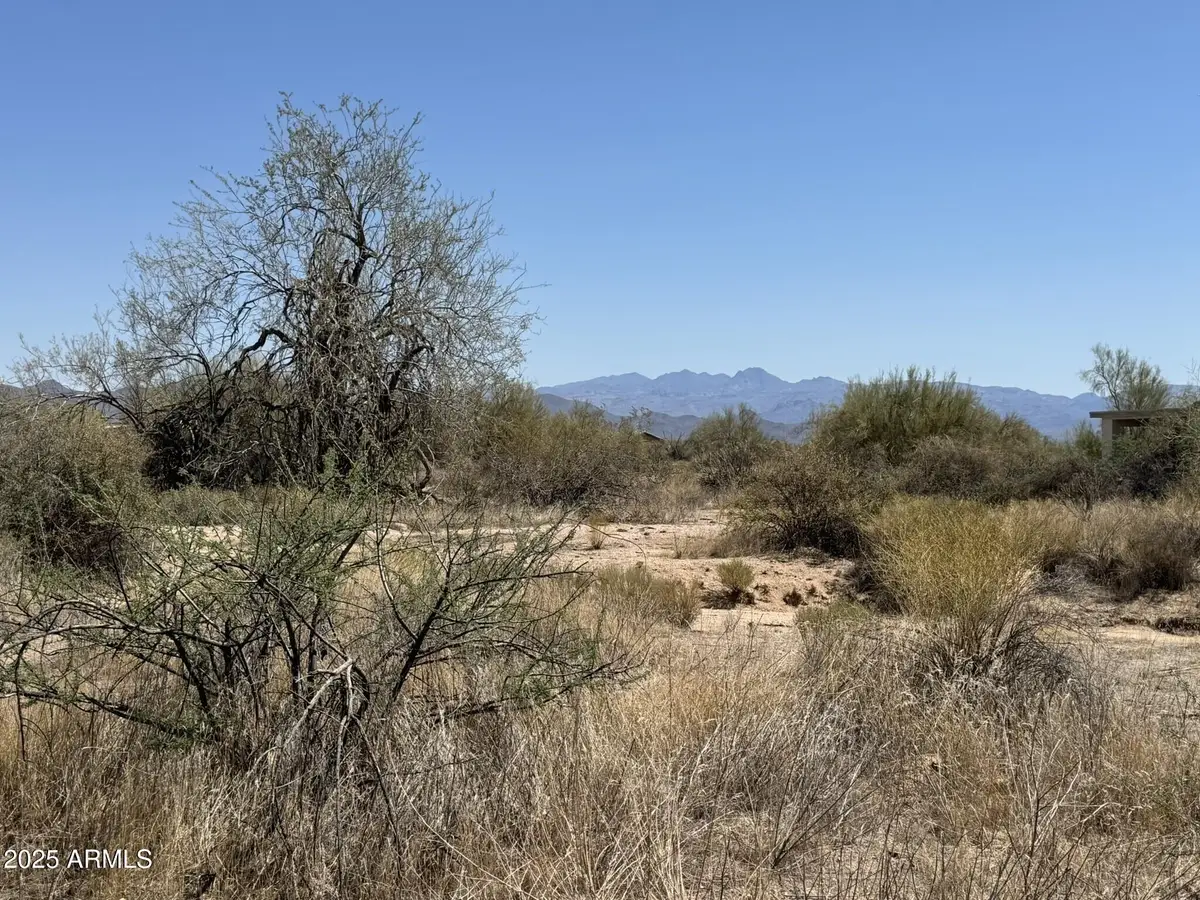 16300 E Dixileta Drive, Tonto National Forest, AZ 85262 - #1