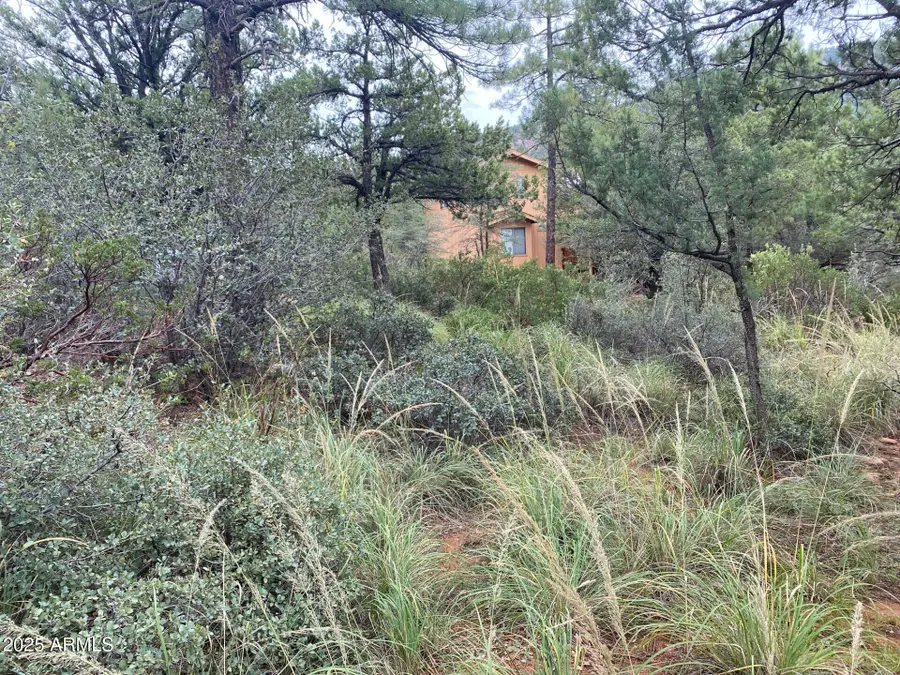 186 N Trails End Drive #186, Pine, AZ 85544 - Image #2