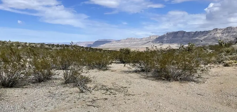 540 W Silver Creek Lane, Meadview, AZ 86444 - Image #3