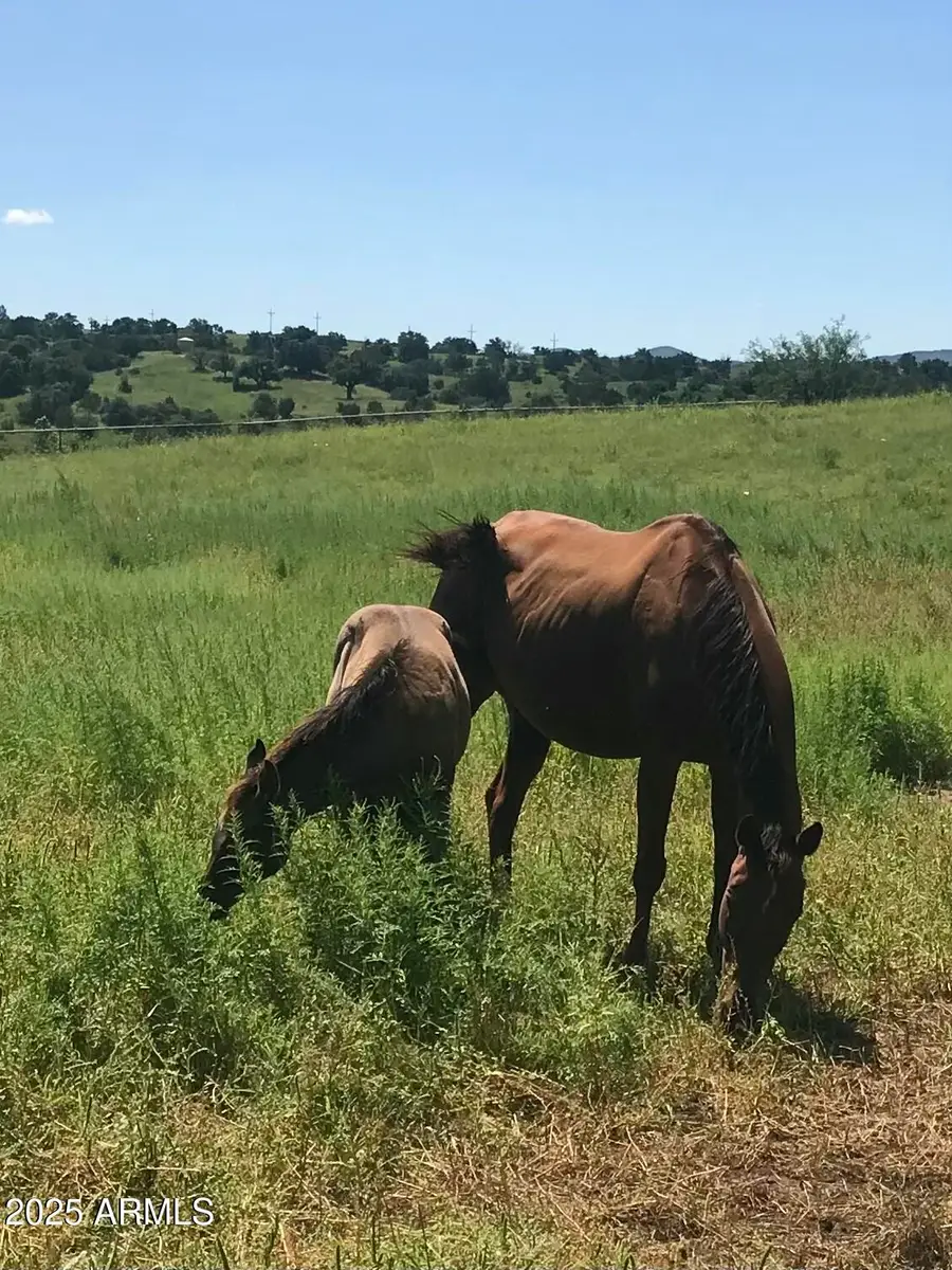 3128 Highway 82 --, Sonoita, AZ 85637 - Image #3