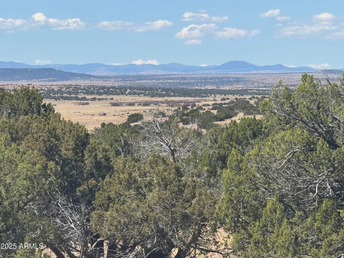 Lot 753 Woodland Valley Ranch -- #753, Saint Johns, AZ 85936 - Image #1