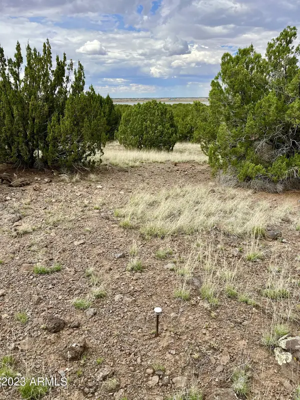 TBD County Rd N3440 -- #42, Concho, AZ 85924