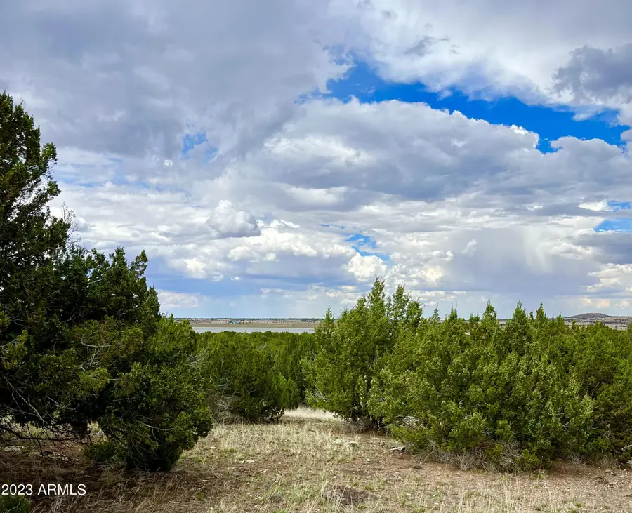 TBD County Rd N3440 -- #42, Concho, AZ 85924 - Image #2