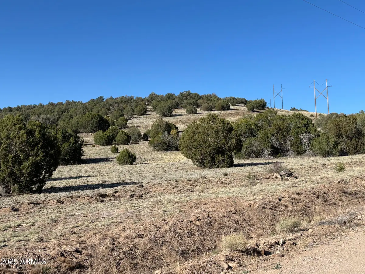 0 N Parcel #301-10-230-1557 -- #1557, Seligman, AZ 86337 - Image #1