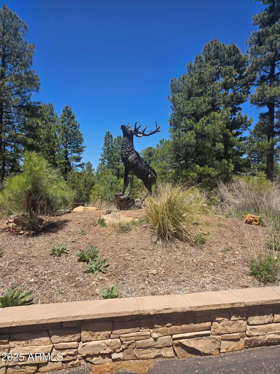 3662 Sunset Ridge Loop #143, Blue Ridge, AZ 86024 - Image #3