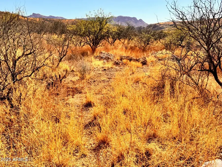 773 Avenida Beatriz -- #8, Rio Rico, AZ 85648 - Image #3