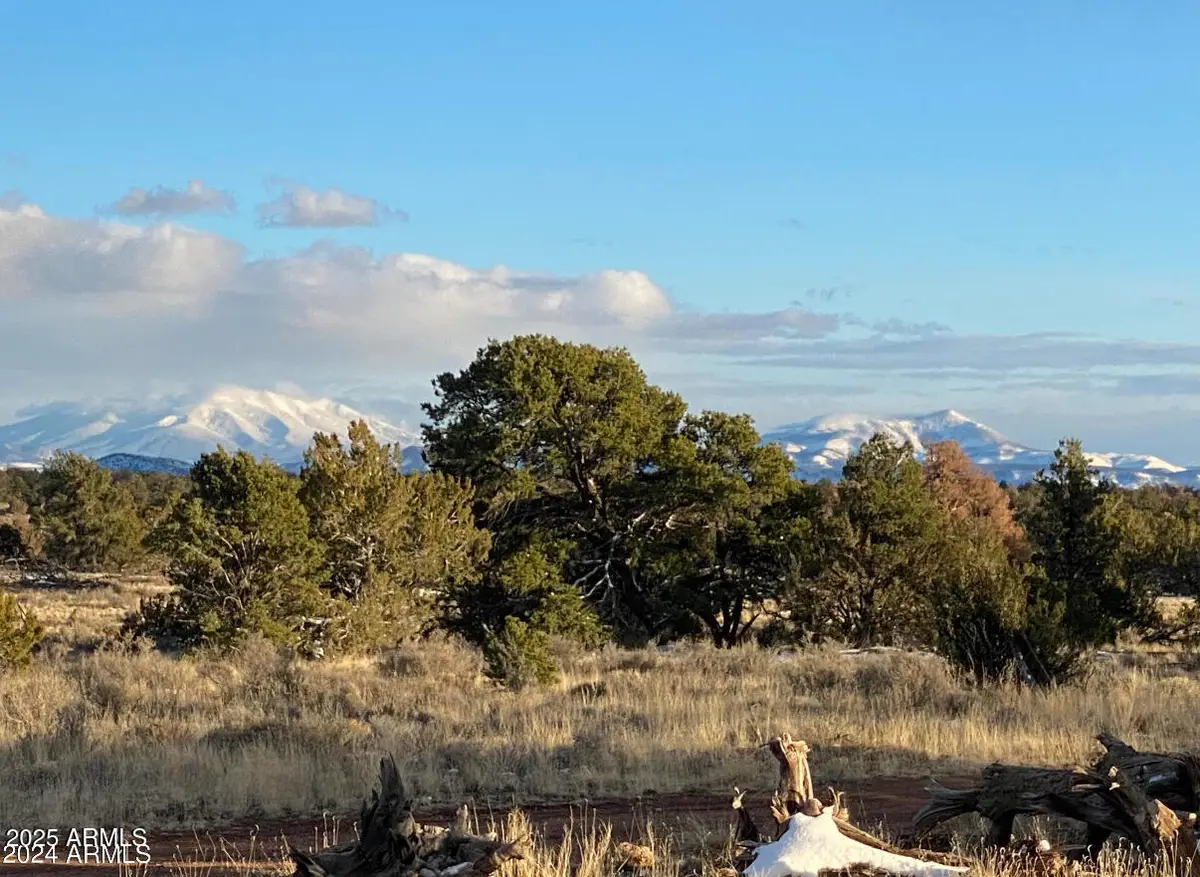 5785 N Muytala Drive #A&B, Valle, AZ 86046 - Image #1