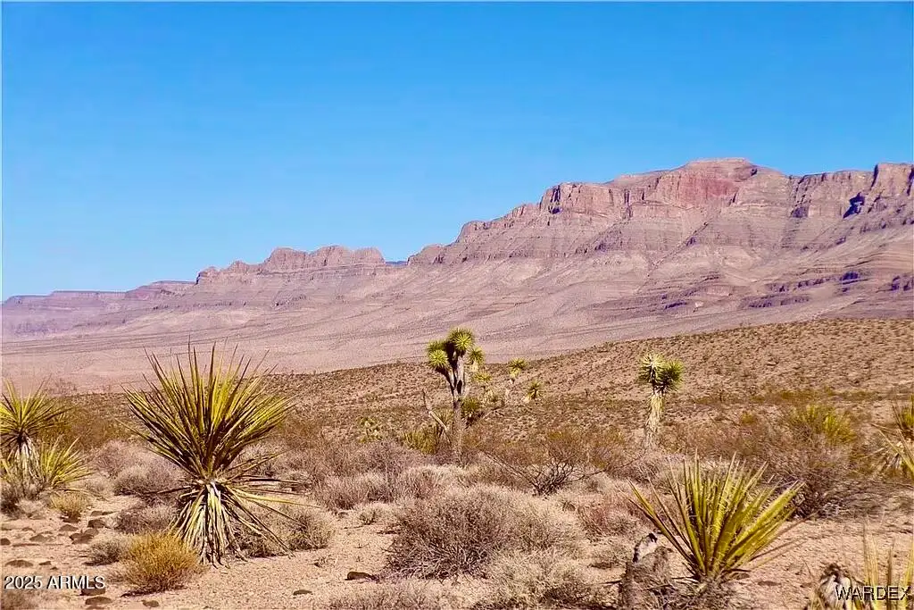 258 Mohave Lane #258, Meadview, AZ 86444 - #1