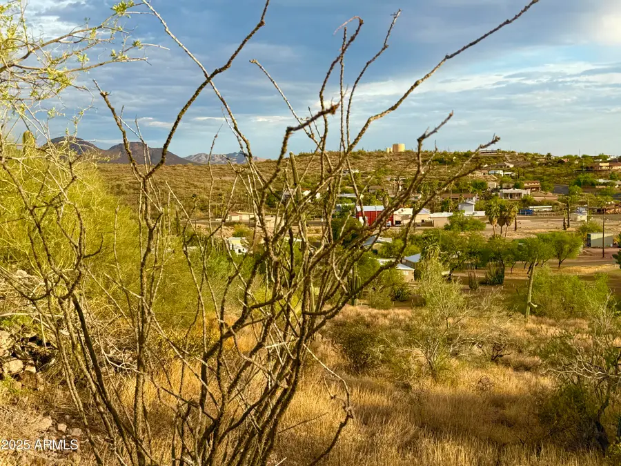 1033 N Sherwood Way #191, Queen Valley, AZ 85118 - Image #3