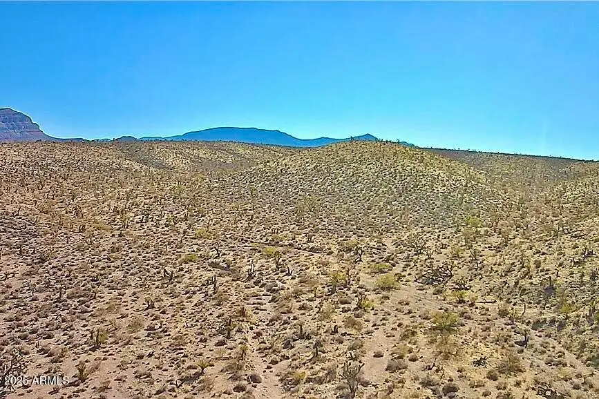 217 Cottonwood Avenue #217, Meadview, AZ 86444 - Image #1