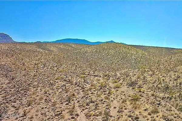 217 Cottonwood Avenue #217, Meadview, AZ 86444