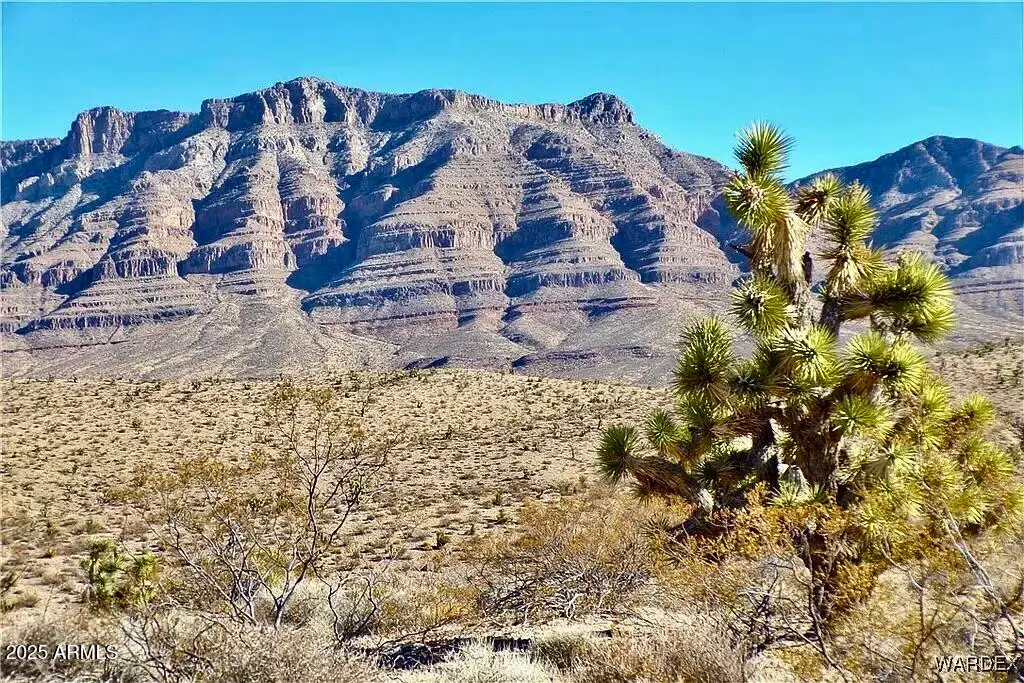 165 Ivy Lane #165, Meadview, AZ 86444 - Image #1