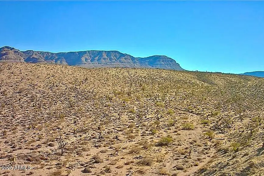 126 Antelope Avenue #126, Meadview, AZ 86444 - Image #1