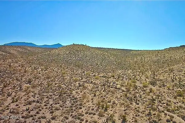 123 Antelope Avenue #123, Meadview, AZ 86444