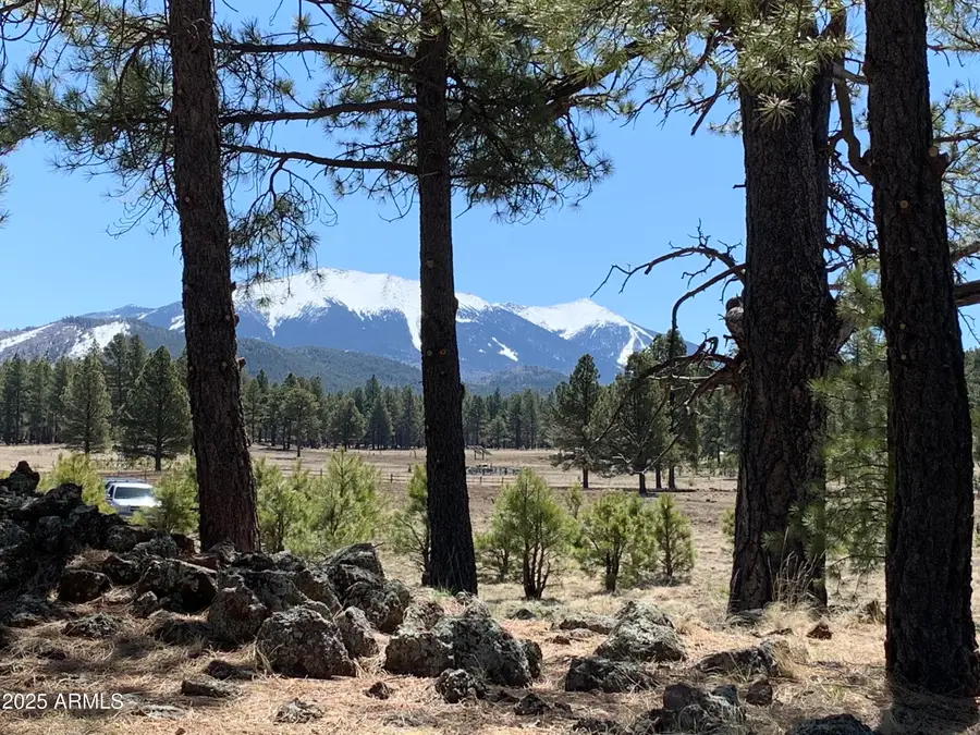 17622 Crowley Trail, Flagstaff, AZ 86001 - Image #3