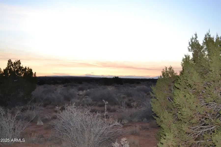 Lot 020B E 24th N Street #020B, Snowflake, AZ 85937 - Image #2