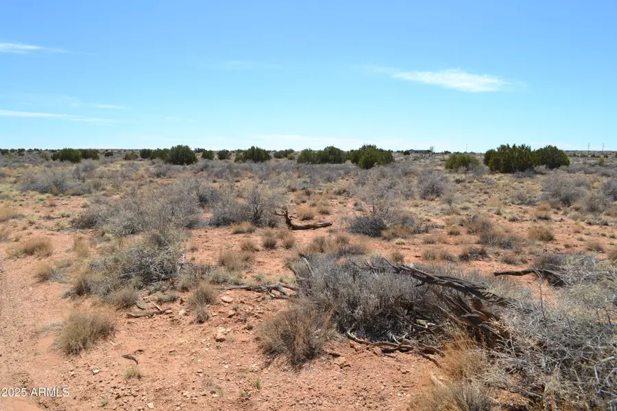 Lot 020B E 24th N Street #020B, Snowflake, AZ 85937 - Image #3