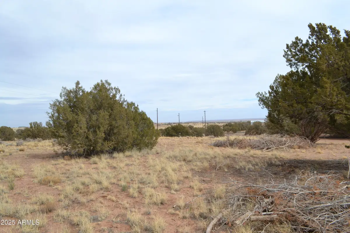 Lot 020D E 24th North Street #020D, Snowflake, AZ 85937 - Image #1