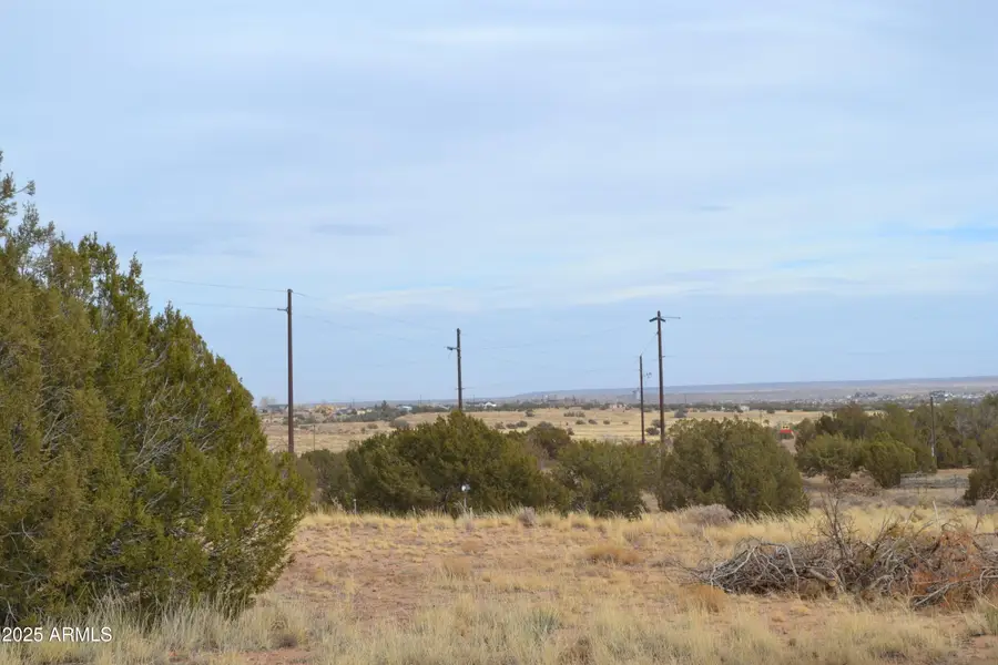 Lot 020D E 24th North Street #020D, Snowflake, AZ 85937 - Image #2