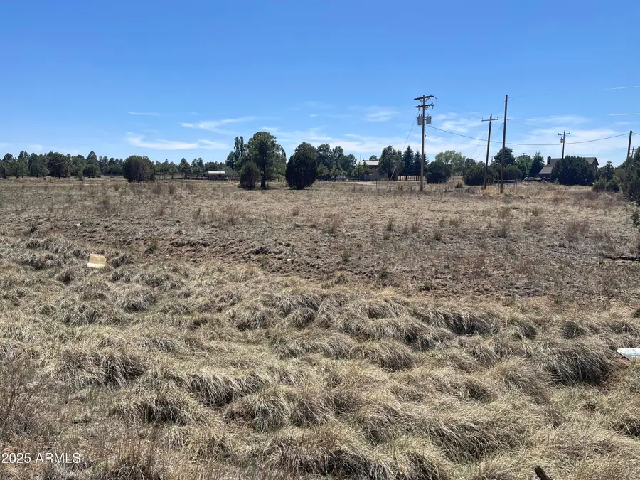 2278 Meadow Lane #179, Heber Overgaard, AZ 85933 - Image #2