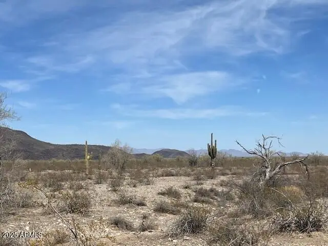 401st Ave W Mountain View Road #13, Tonopah, AZ 85354 - Image #1