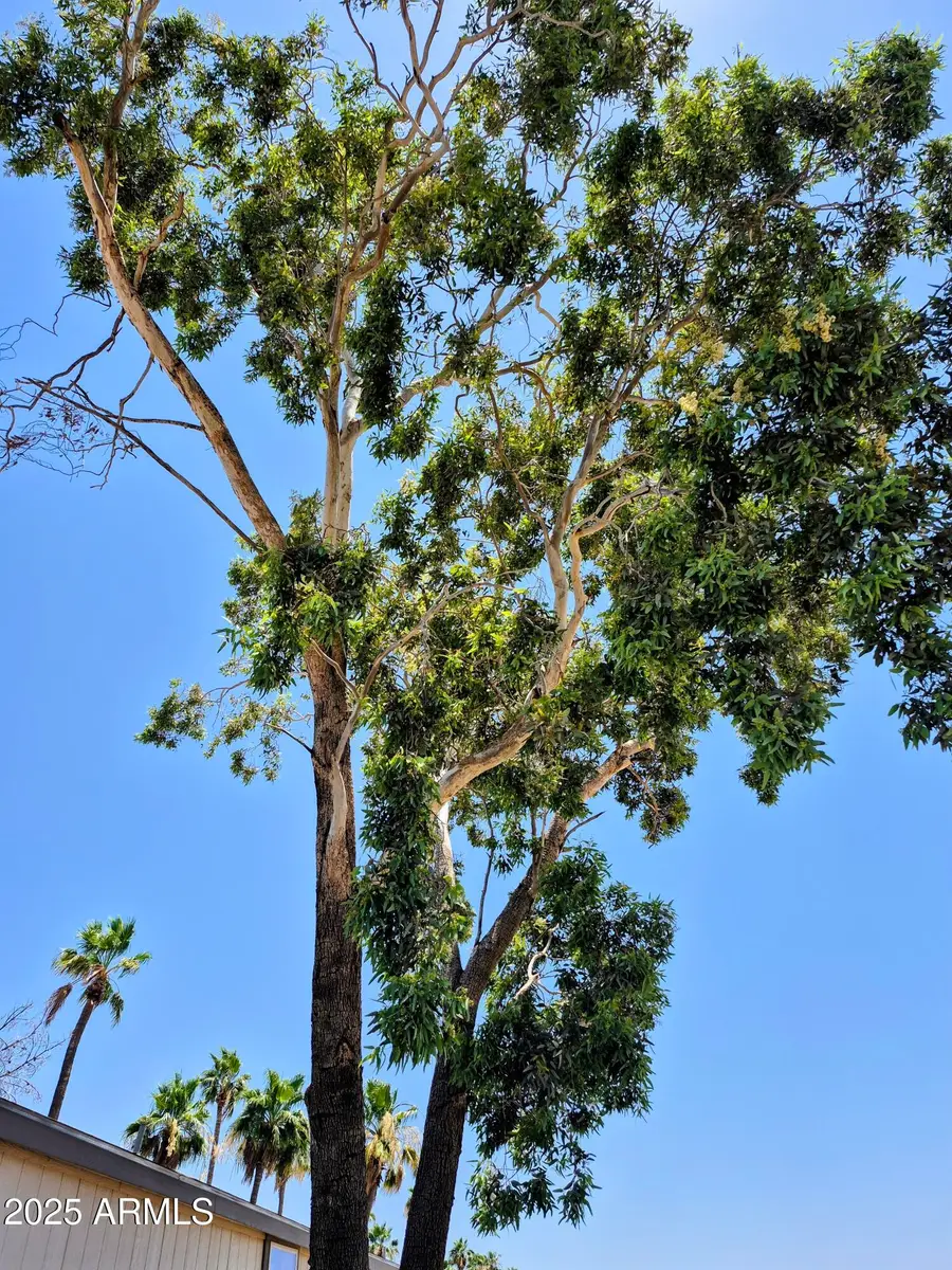 7920 W Glendale Avenue #39, Glendale, AZ 85303 - Image #3