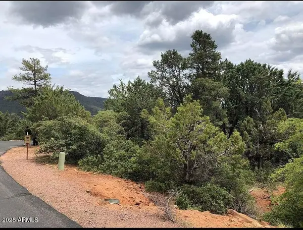9 Lodgepole Circle #9, Pine, AZ 85544