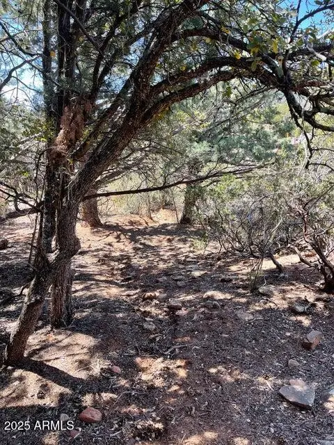 9 Lodgepole Circle #9, Pine, AZ 85544 - Image #2