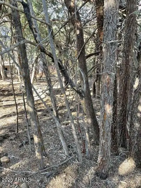 9 Lodgepole Circle #9, Pine, AZ 85544 - Image #3