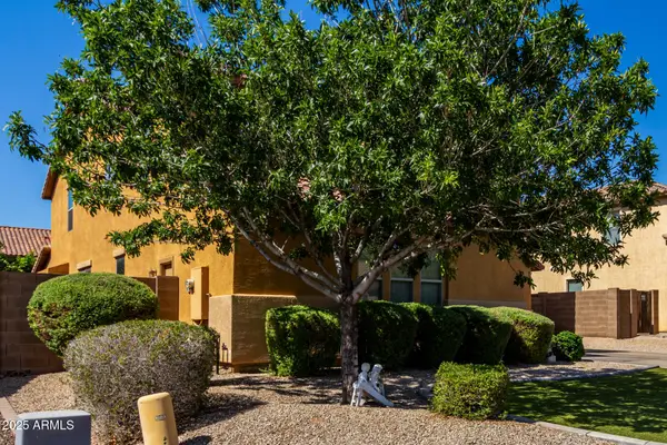 3080 E Andre Avenue, Gilbert, AZ 85298