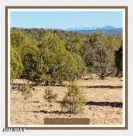 00XX N Edwards Ranch Rd 327 Road #327, Ash Fork, AZ 86320 - #1