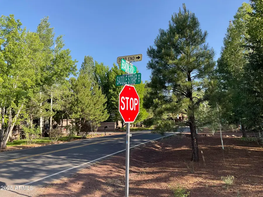 5151 Saddle Strap Way #44, Pinetop Country Club, AZ 85935 - Image #2