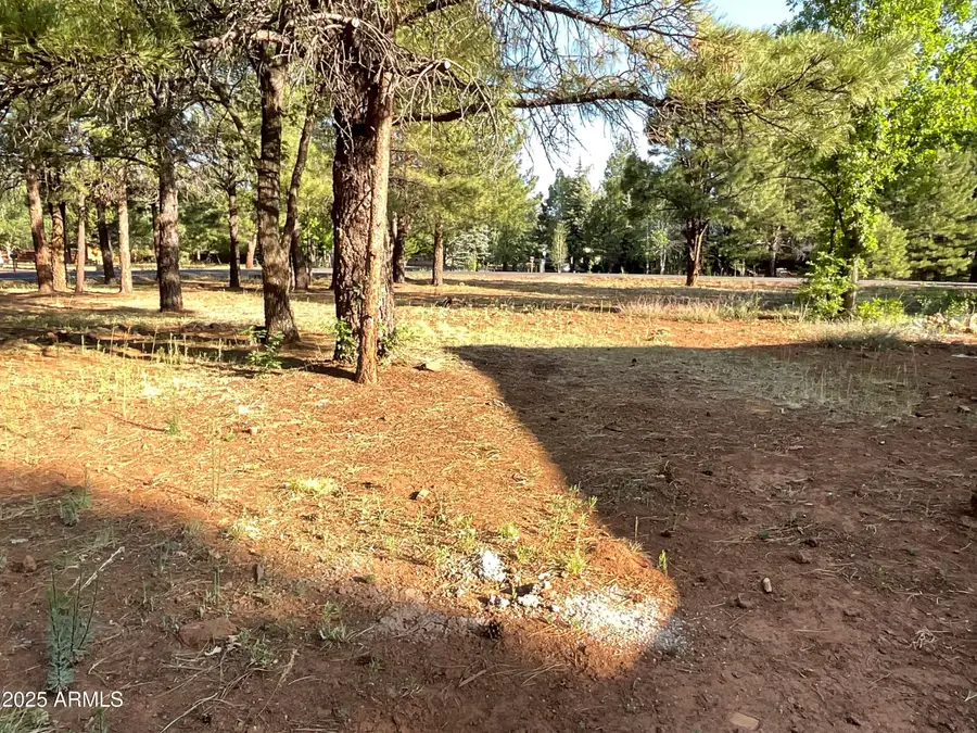 5151 Saddle Strap Way #44, Pinetop Country Club, AZ 85935 - Image #3
