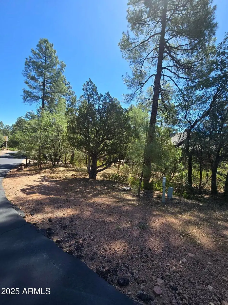 2511 E Pine Island Lane #39, Payson, AZ 85541 - Image #2
