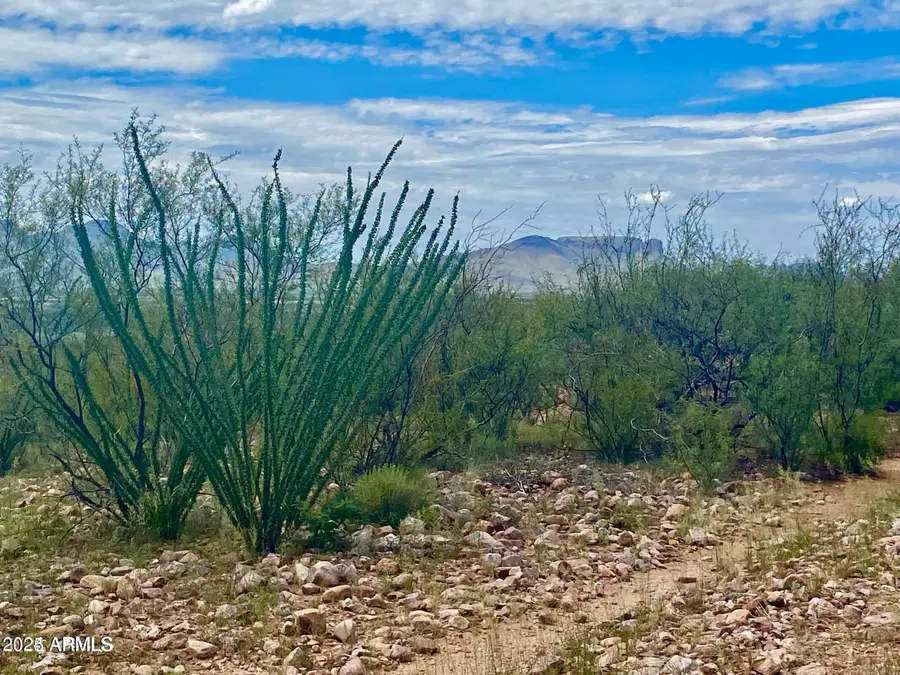 TBD Lonely Dove Pl 8.23 Acres -- #11, Huachuca City, AZ 85616 - Image #3