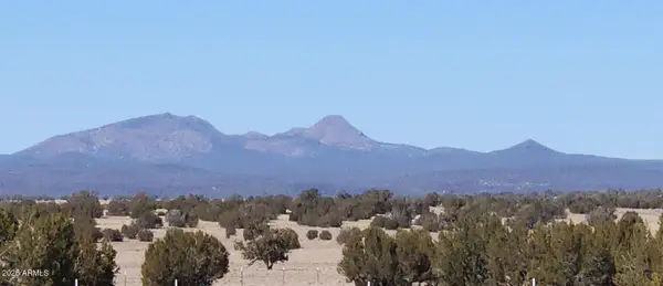 223 Picacho Butte Drive #223, Ash Fork, AZ 86320