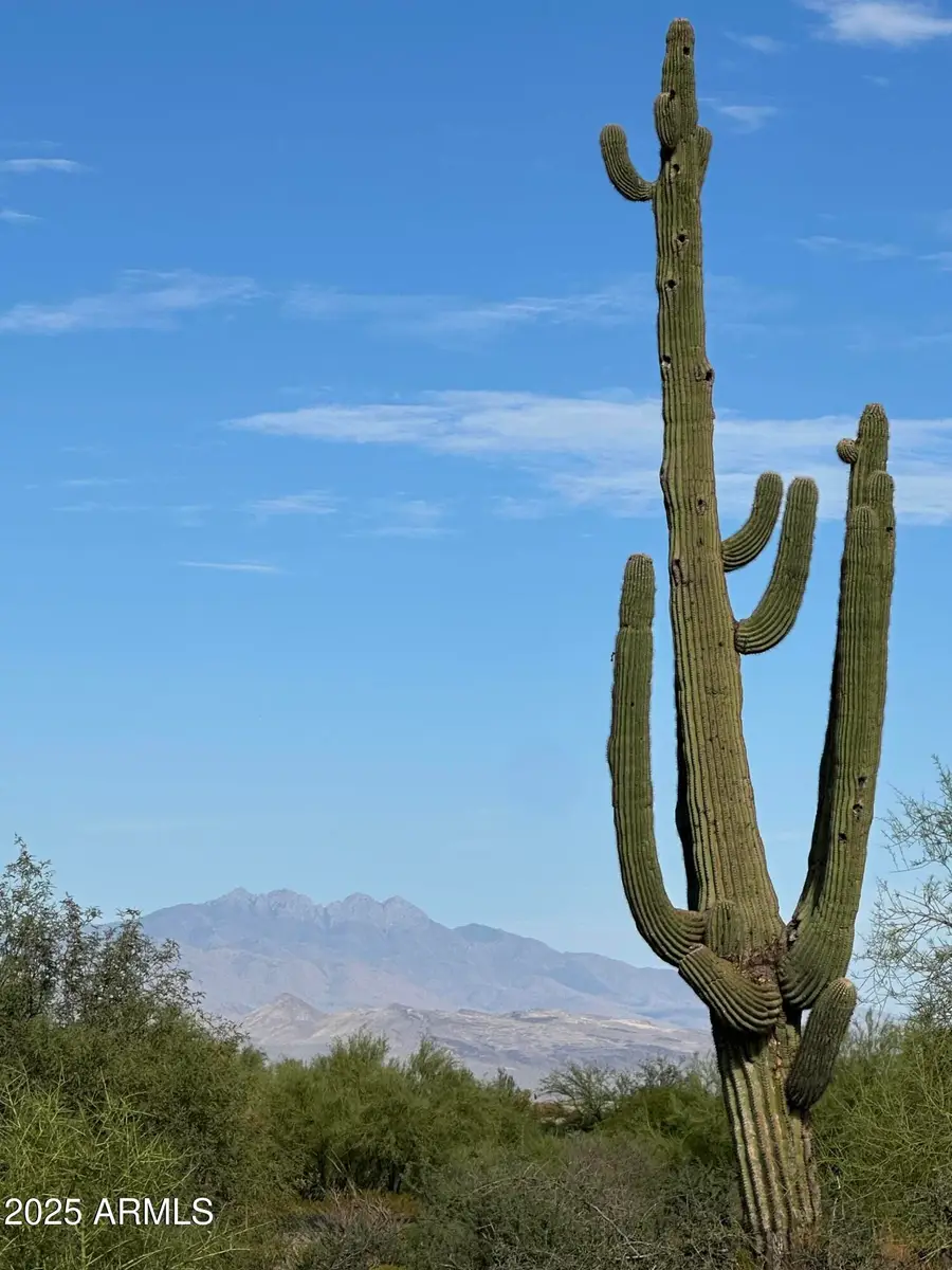 31120 N Visado Court #92, Tonto National Forest, AZ 85262 - #3