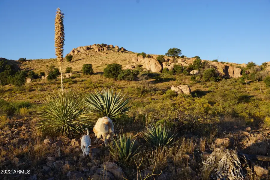 Lot 41 N Hidden Oaks Trail 39 Acres -- #41, Douglas, AZ 85607 - Image #2