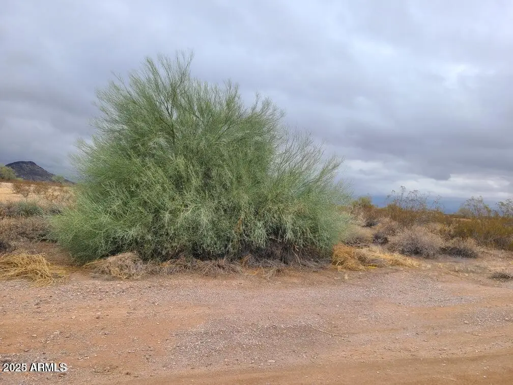 0 W Campbell Avenue #272, Tonopah, AZ 85354 - Image #1